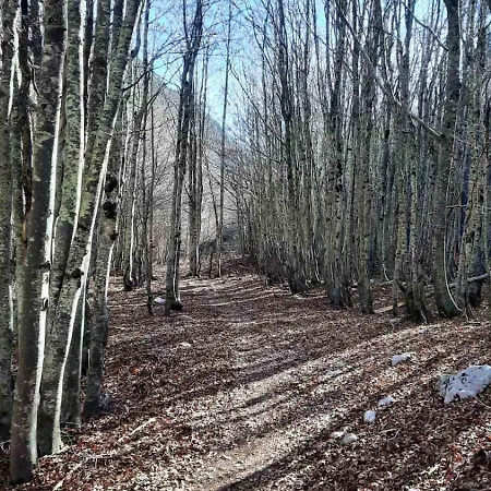 Rumi Ivisovo Greblje